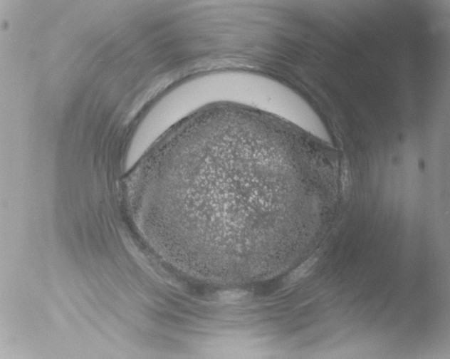 X0000051880158200507151921