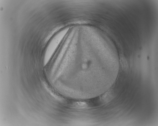 X0000051880159200507151921