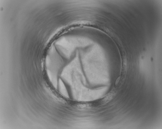 X0000051880160200507151921