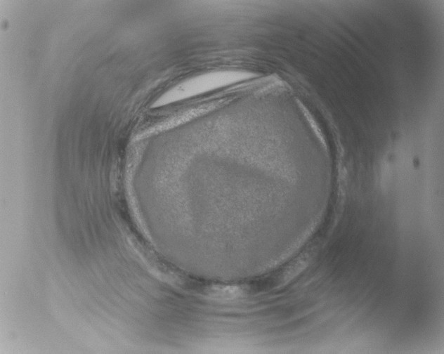 X0000051880161200507151921