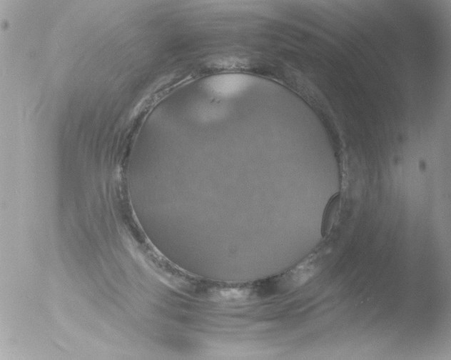 X0000051880163200507151922