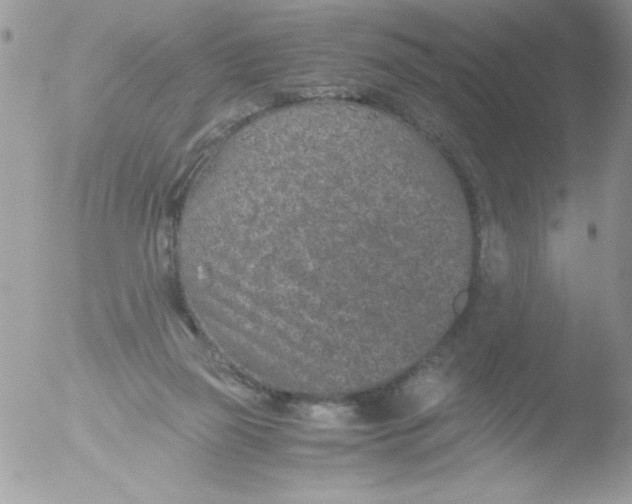 X0000051880165200507151922