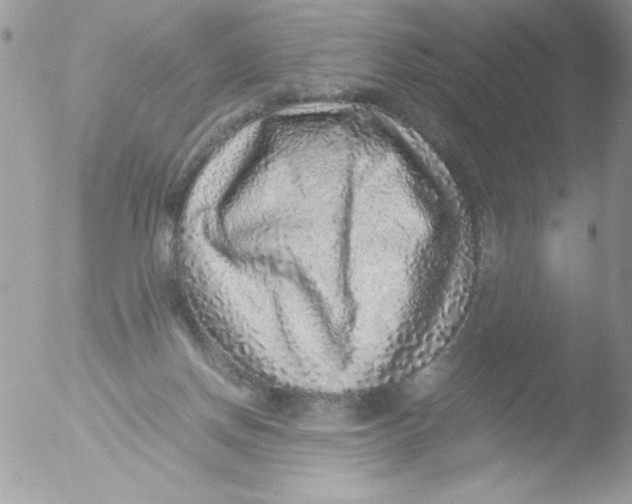 X0000051880166200507151922