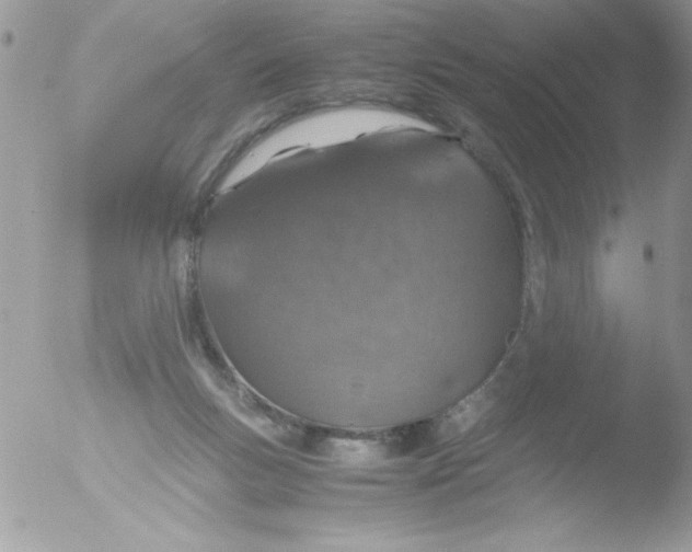 X0000051880167200507151922