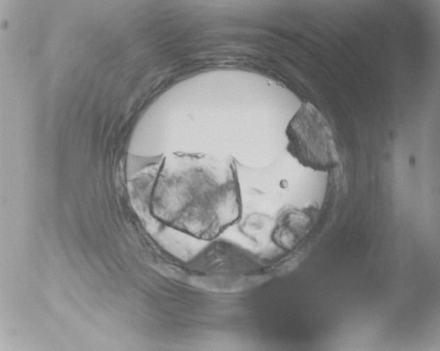 X0000051880169200507151922