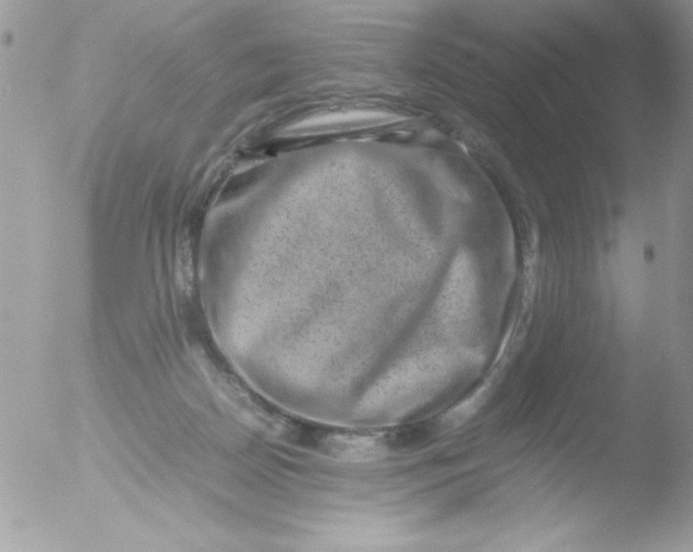 X0000051880170200507151922