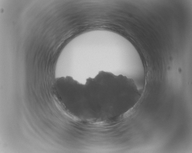 X0000051880171200507151922