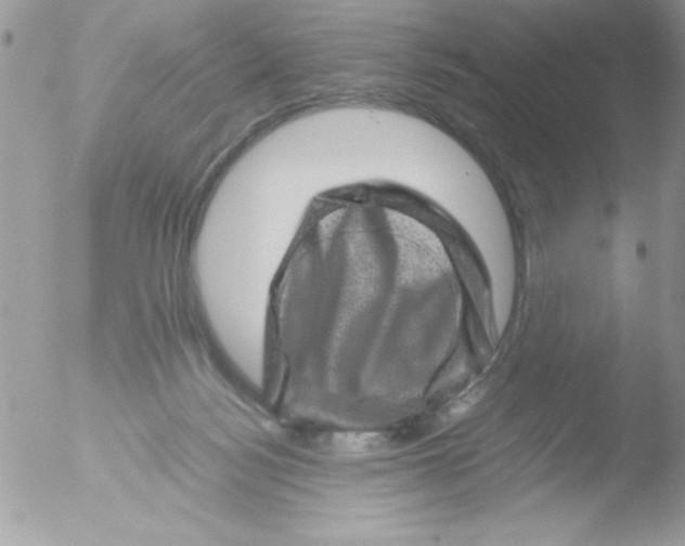 X0000051880172200507151922