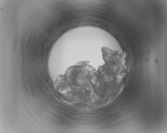 X0000051880173200507151922