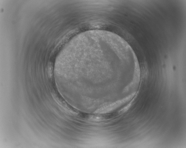 X0000051880174200507151922