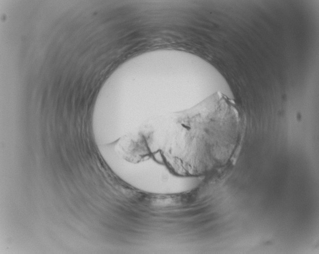 X0000051880177200507151922