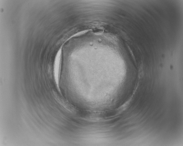 X0000051880178200507151922