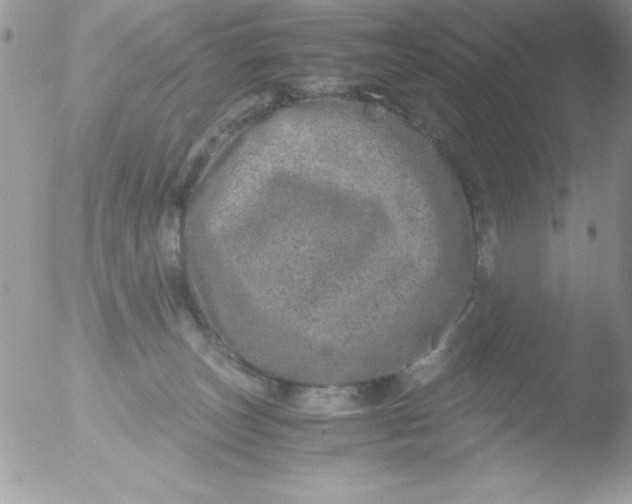 X0000051880179200507151922