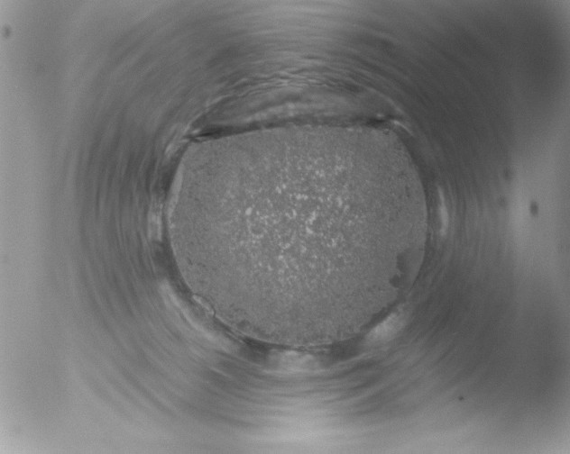 X0000051880180200507151922