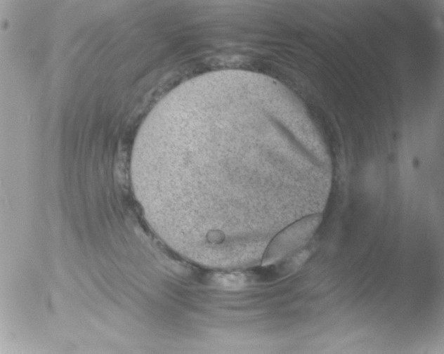 X0000051880181200507151922