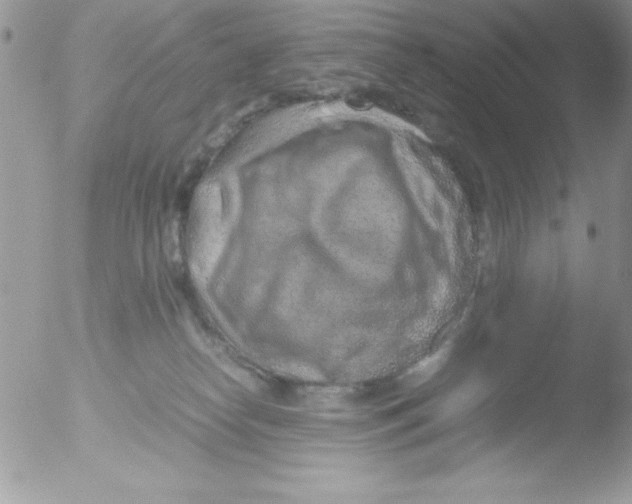 X0000051880182200507151922