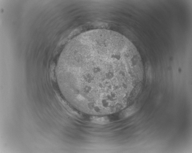 X0000051880185200507151922