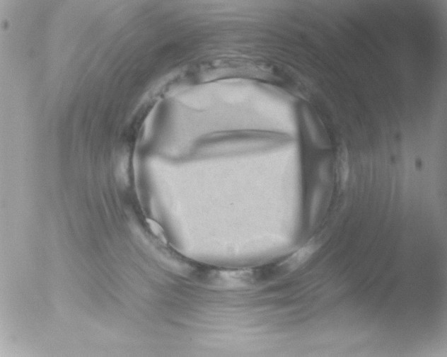 X0000051880188200507151922