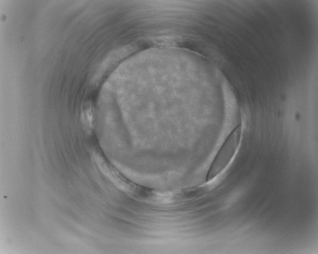 X0000051880190200507151922