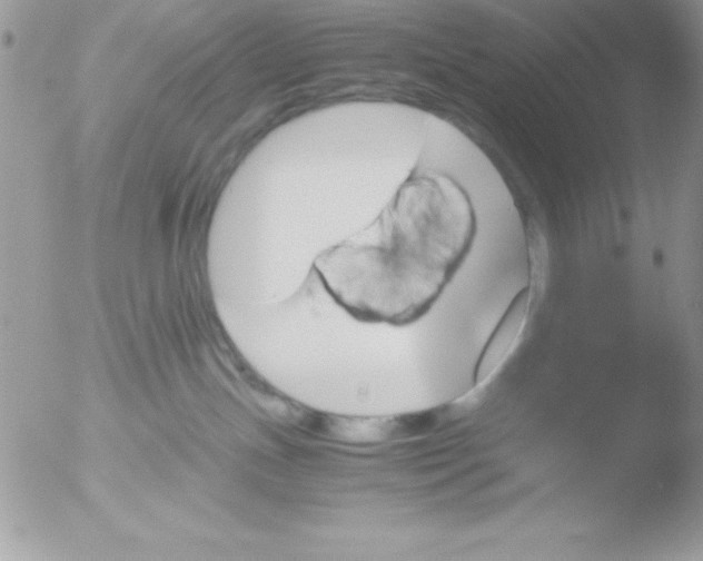 X0000051880191200507151922