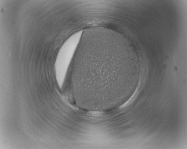 X0000051880192200507151922