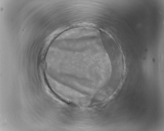 X0000051880193200507151921