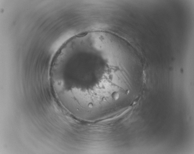 X0000051880196200507151921