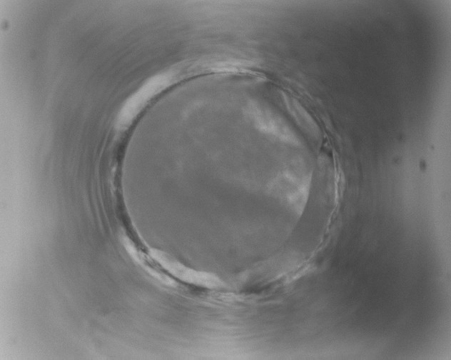 X0000051880197200507151921