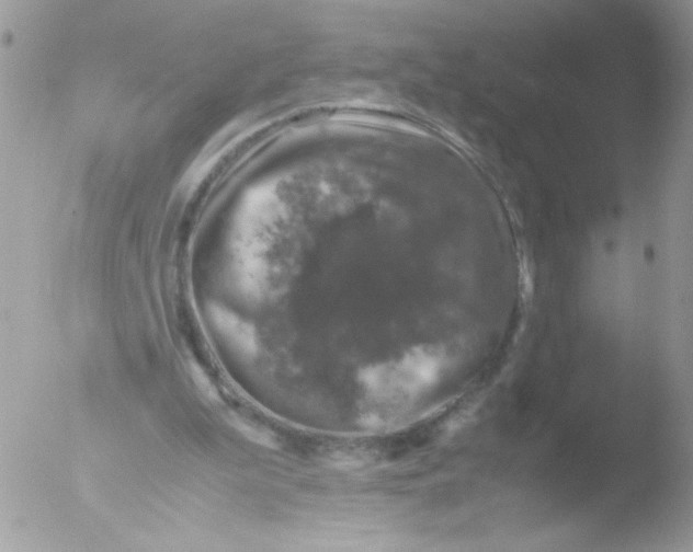 X0000051880199200507151921