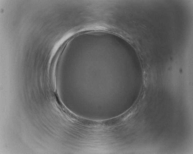 X0000051880200200507151921