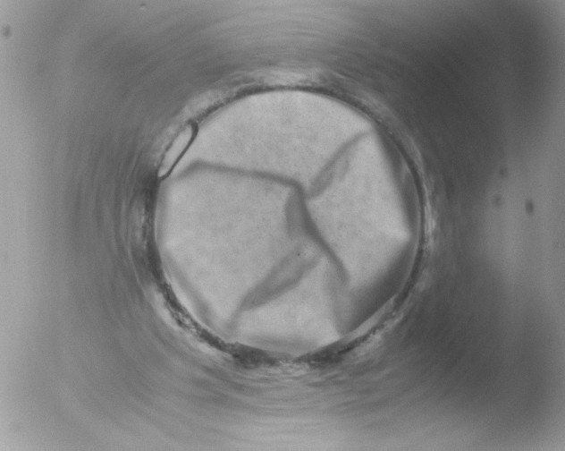 X0000051880201200507151921