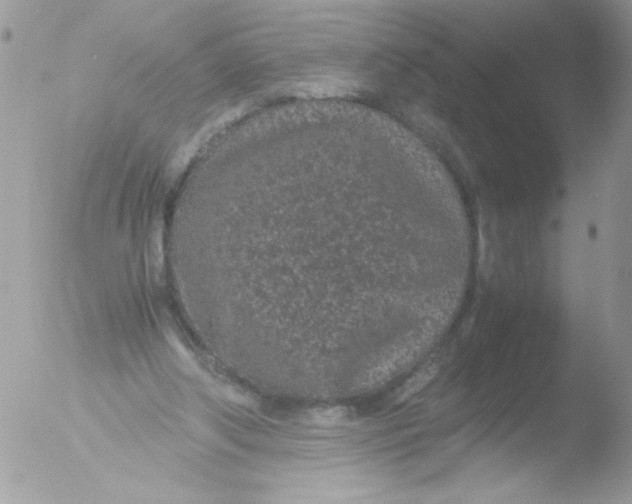 X0000051880202200507151921