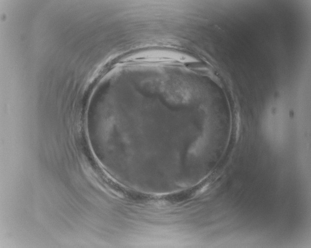 X0000051880203200507151921