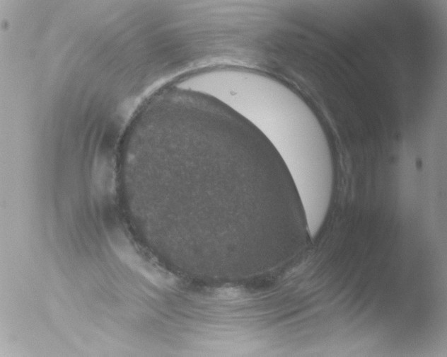 X0000051880204200507151921