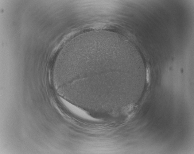 X0000051880205200507151921