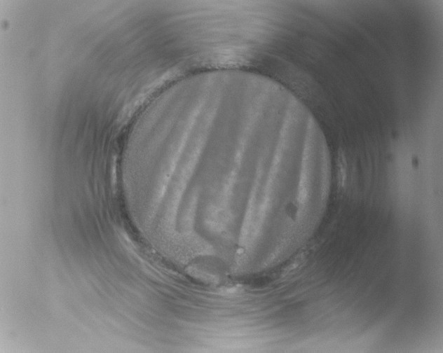 X0000051880206200507151921