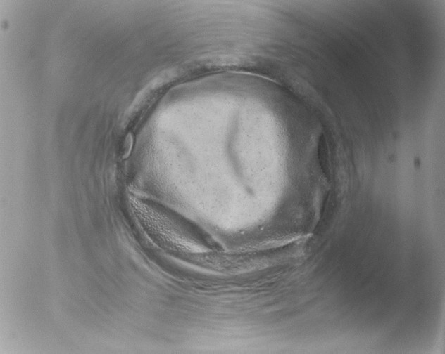 X0000051880207200507151921