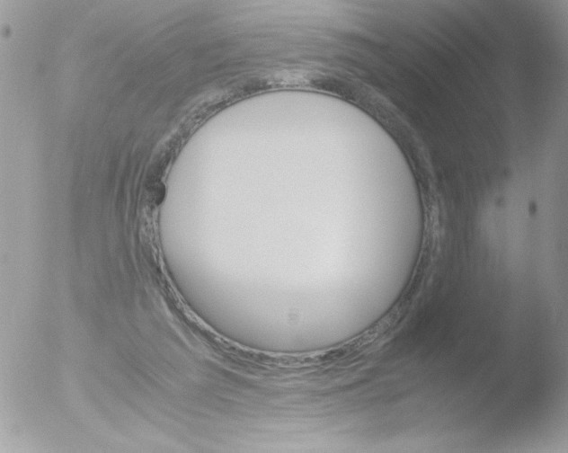 X0000051880209200507151921