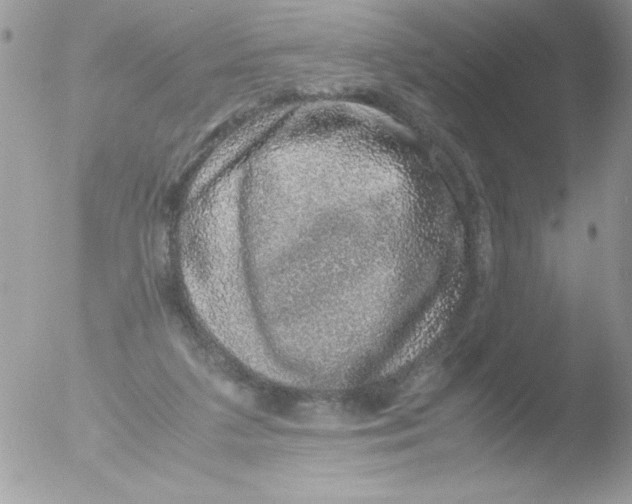 X0000051880211200507151921