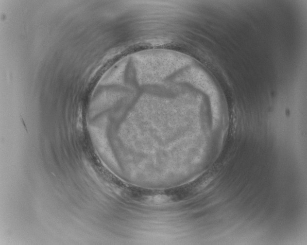 X0000051880212200507151921