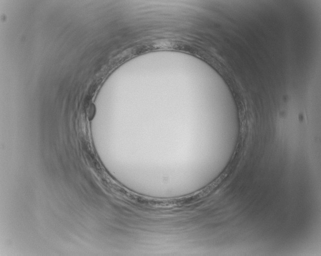 X0000051880213200507151921