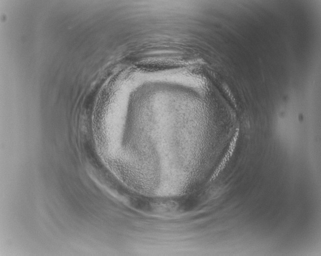 X0000051880215200507151921