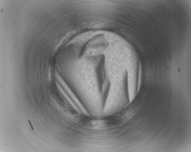 X0000051880216200507151921