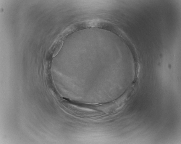 X0000051880217200507151921