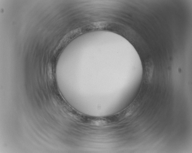 X0000051880220200507151921