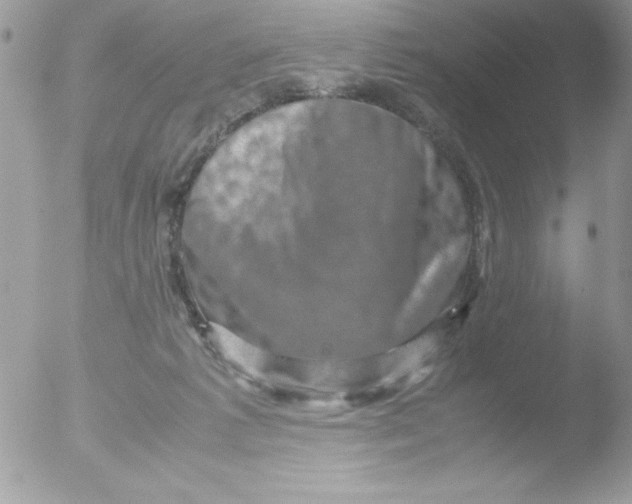 X0000051880221200507151921