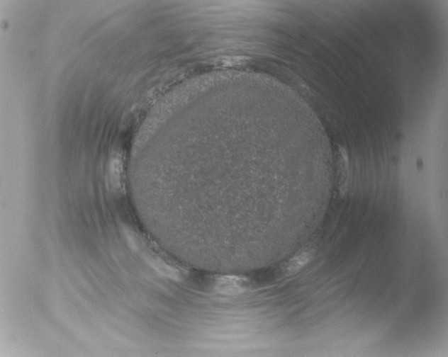 X0000051880222200507151921