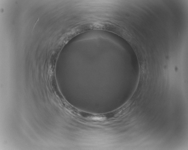 X0000051880223200507151921