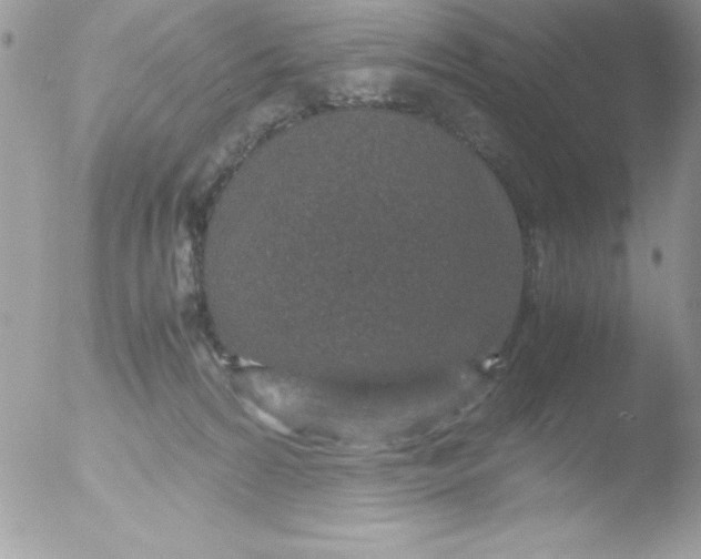 X0000051880224200507151921