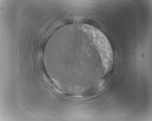 X0000051880225200507151921